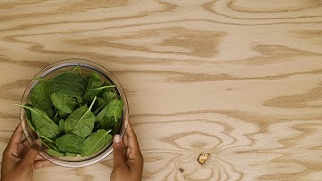 Save Money On A High-Protein Diet