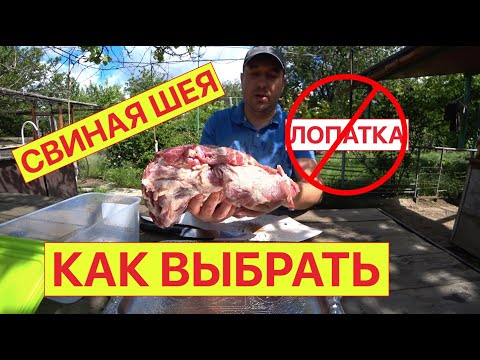 Свиная шея как выбрать