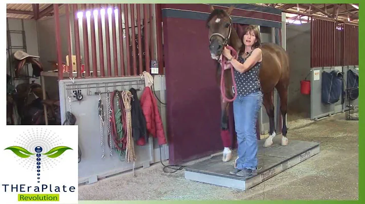TheraPlate - Wendy Potts Testimonial