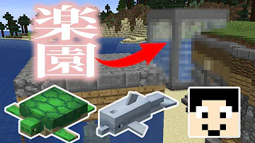 マイクラ亀の育て方 Mp3 マイクラ亀の育て方 Mp3