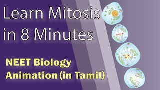 Tamil NEET Biology Animation: Mitosis - Cell cycle and cell division