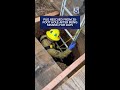 Pug rescued from 20-foot hole after being missing for days