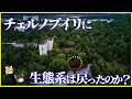 【ゆっくり解説】放射能の恐ろしさとは?チェルノブイリの動植物は今どうなっている?を解説/放射能汚染地帯に生まれた奇妙な生態系