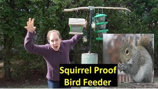 LINKS BELOW****SUBSCRIBE****SHARE**** If you are watching this video, you know the frustrations of squirrels that come along 