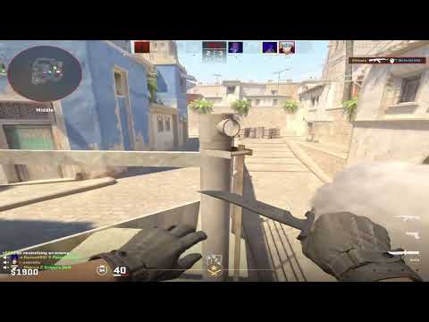 hard carry 2800 elo with donk settings