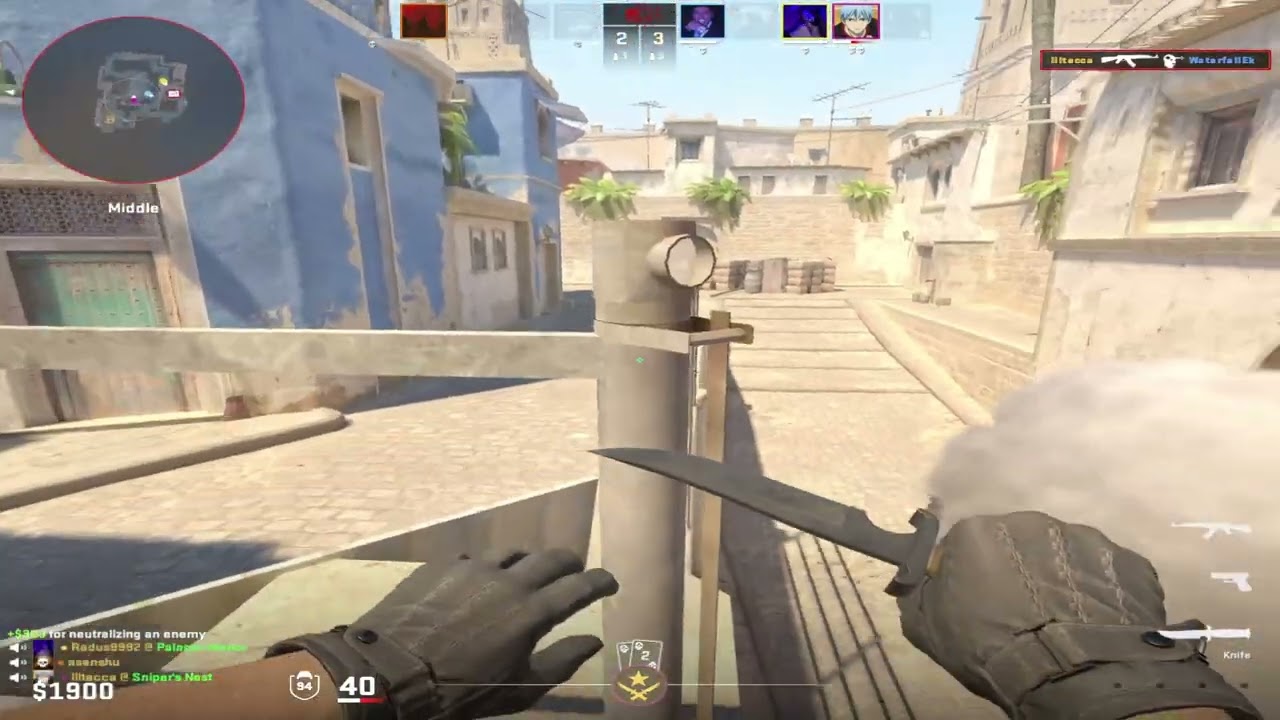 hard carry 2800 elo with donk settings