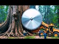 Extreme Dangerous Fastest Big Chainsaw Cutting Tree Machines | Monster Stump Removal Excavator #72