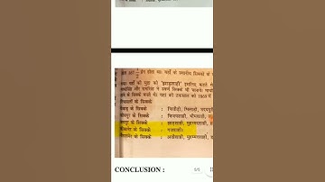 computer instructor objection (paper-1)