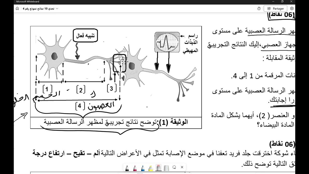 المراجعة النهائية علوم س4م الموضوع الرابع