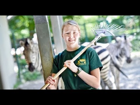 Ausbildung bei der Stadt Chemnitz: Tierpfleger/in Fachrichtung Zoo