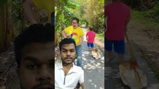 Watermelon  Leke Balloon De Diya  shorts funny watermelon funnyshorts greenscreen