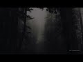 Storm Deep in the Woods l The Sounds of Rain l Rain Sounds for Sleep l 10 Hours