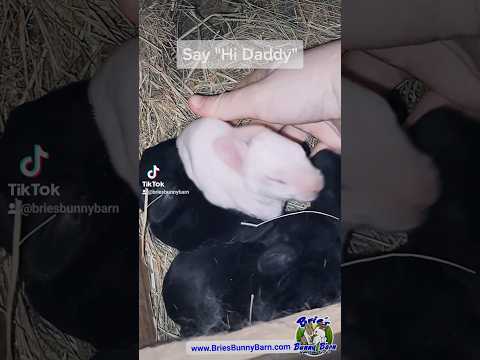 The Albino Gene Is Funny Like That