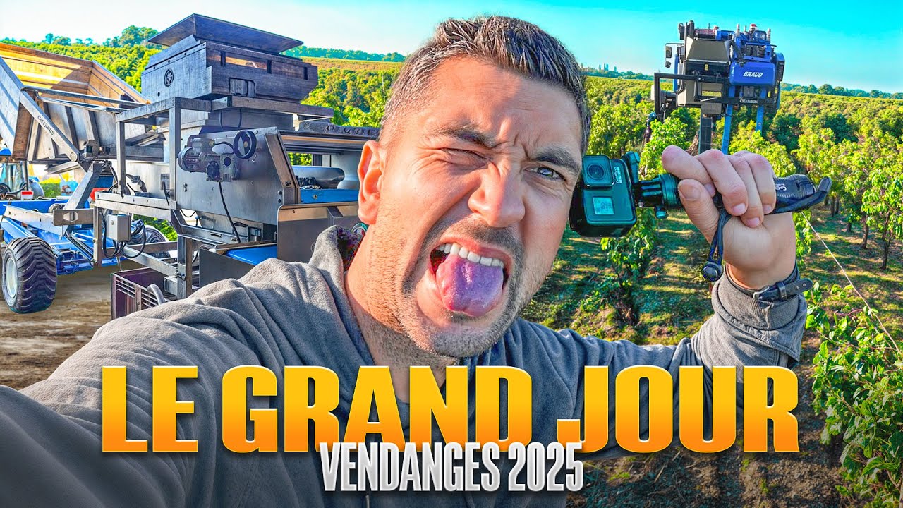 Vendanges 2025 : le grand départ dans les vignes !!