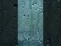 window rain – Leafglow #shorts #ambient #lofi