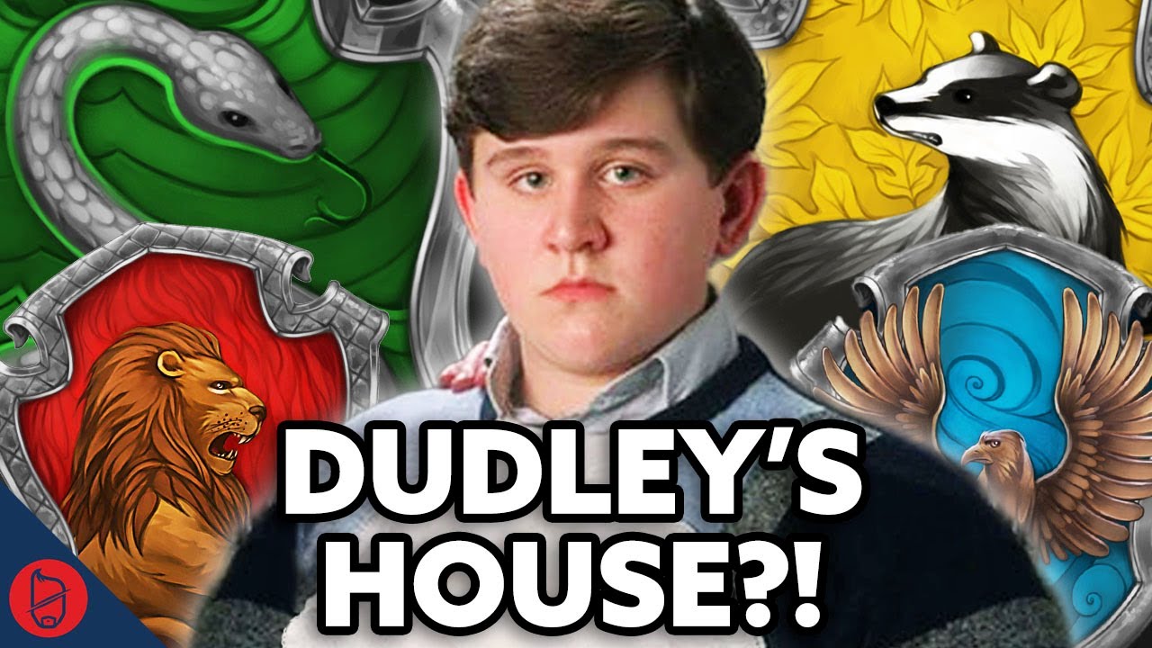 Where Would DUDLEY Be Sorted!? | Harry Potter Film Theory