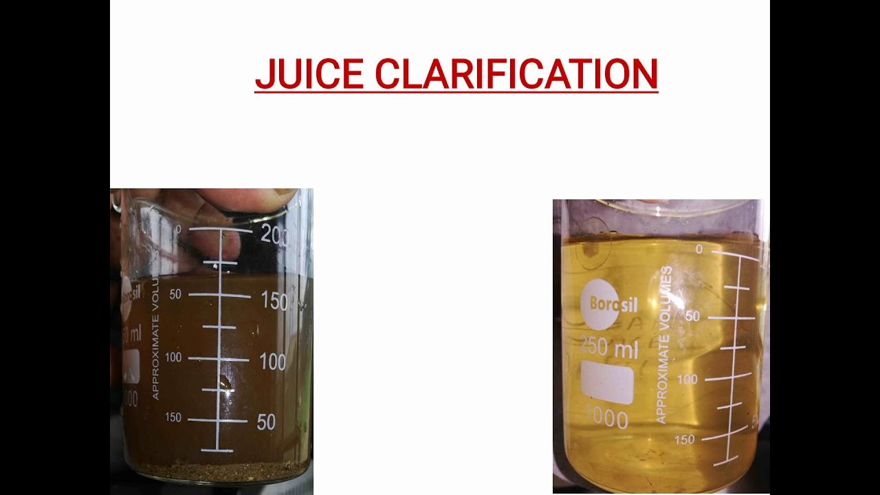 INTRODUCTION OF CANE JUICE CLARIFICATION YouTube
