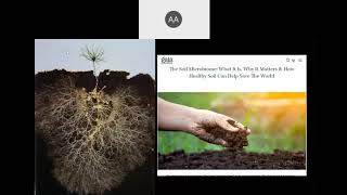 The Effect of Climate Change on Soil Microbes