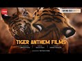 Tiger anthem film 1  shantanu moitra  subbiah nallamuthu  savingourstripes