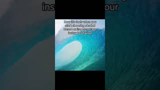 Random MEME || #385 #funny #meme #viral #viralvideo