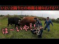 【闘牛】後編 いよいよ闘牛との格闘技！果たして勝負の行方は？ | ハイエース