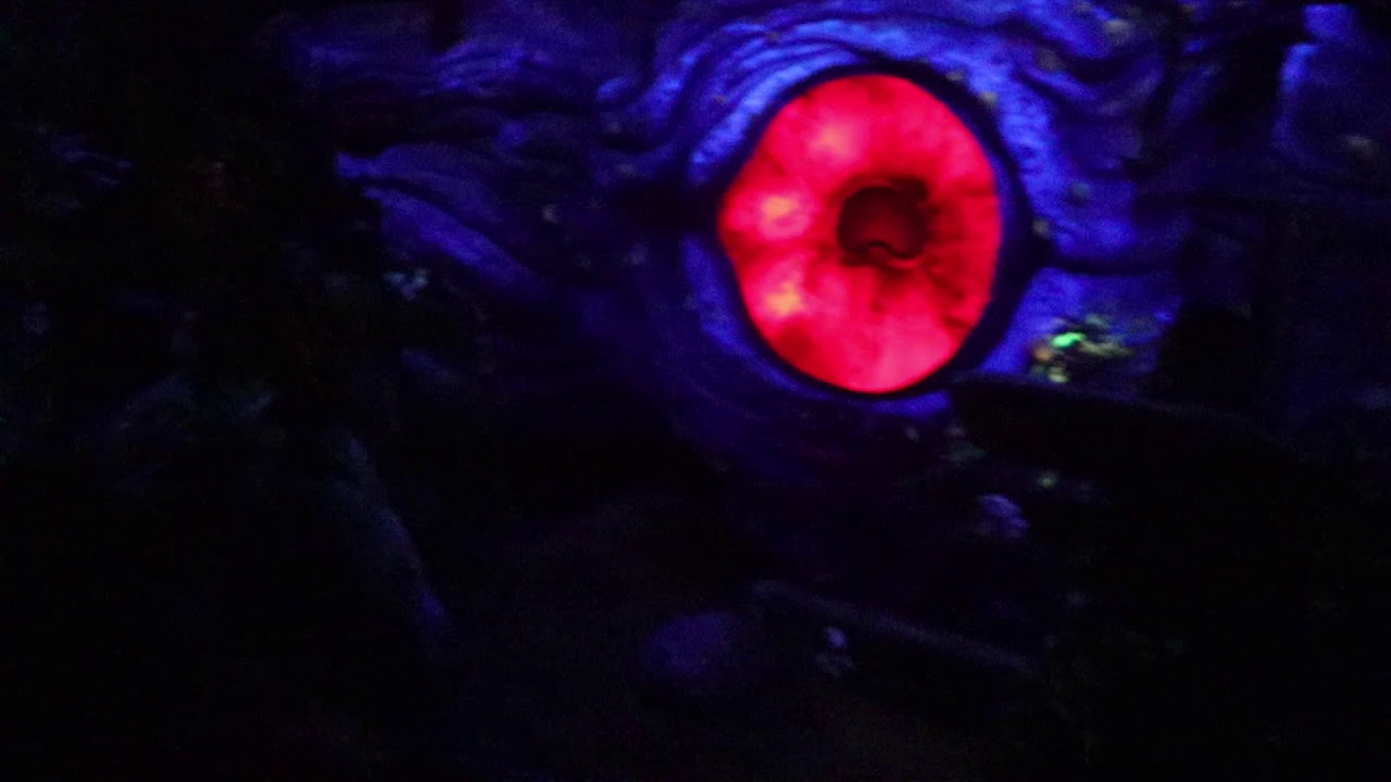 隠れニモを探せ 海底2万マイル 東京ディズニーシー 000 Leagues Under The Sea At Tokyo Disney Sea Youtube