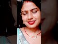 P sunita vlogs official