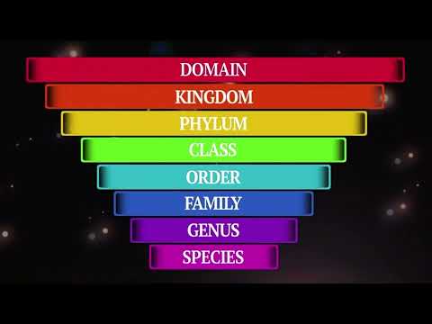 Flocabulary Classification Music Video