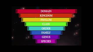 Flocabulary Classification Music Video Content