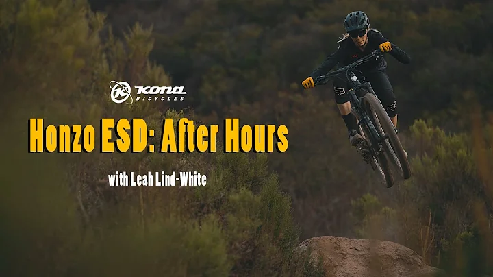 Honzo ESD: After Hours