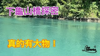 Creek fishing in Taiwan 來下龜山橋下釣石賓居然被烏鰡欺負