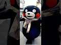 Kumamon's Quick Change! ~Autumn Outfit Walk~ #kumamon #quickchange #autumn #cute