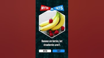 Myths vs Facts: Debunking common misconceptions! 💡 myths vs facts,myths and facts #myths #facts