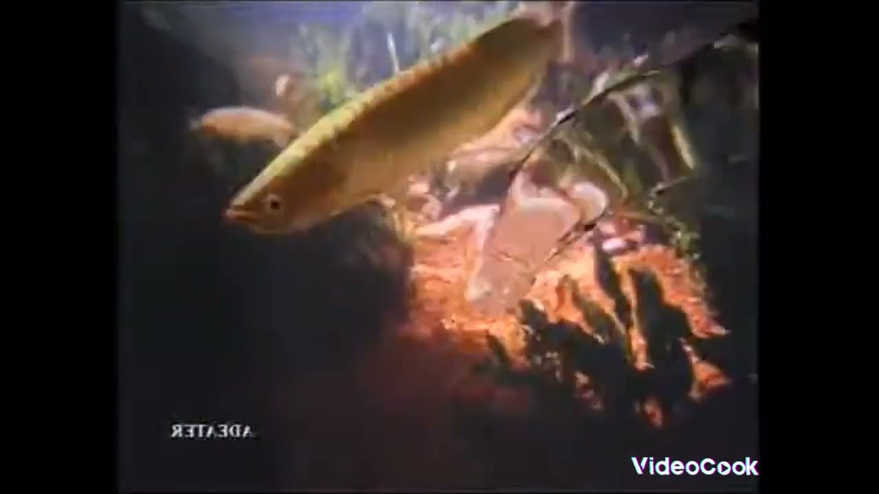 Eon - Malaysia - 1995 in Mystery Effect