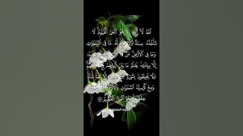 تلاوة لآية الكرسي بصوت الأخ أبي المنتصر العشارة وفقه الله وبه نفع