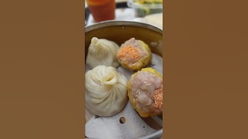 [NYC]Dim Sum Sam in New York #foodie #vlog #mukbang #chinese #dumplings #eggtarts #shorfs