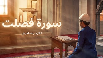 سورة فصلت مكررة القارئ رعد الكردي