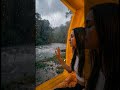 Solo Camping in Rainy forest #solocamping #camp #rain #forest #nature #easycamp #lake #peace #reel