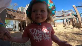 Carlsbad, NM in a converted School bus!