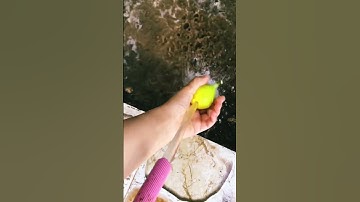 سورة الكهف هزاع البلوشي