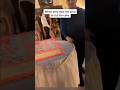 The Disrespect 😩 | #lol #funny #memes #hilarious #funnyshorts #funnymemes #funnyvideo #funnyvideos