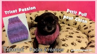 Tutoriel Tricot Petit Pull A Tricoter Pour Chiens Chihuahuas Ou Yorkshires Youtube