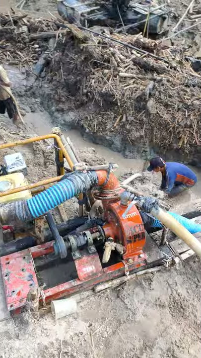 Mencari emas menggunakan robin pom 3 in