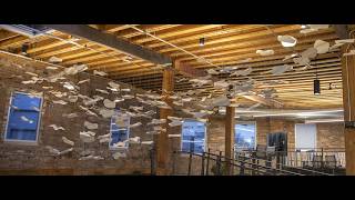 Behind the Scenes of RDG Planning & Design's 'Murmuration'
