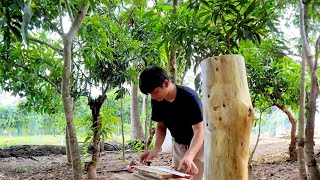 Full Video: Renovating old houses and perfecting the garden ~ Rural life | Episode 1