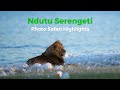 Safari Highlights from Ndutu Serengeti