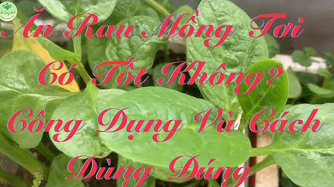 Ăn Rau Mồng Tơi Có Tốt Không?  Công Dụng Và Cách Dùng Đúng