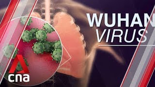 Singapore confirms first case of Wuhan virus