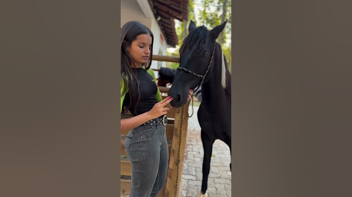 Cavalo Aspirador #pepe #cavalos