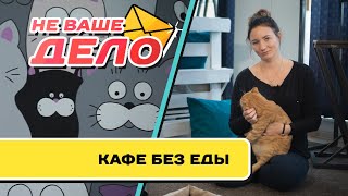 видео: Кафе без еды | НЕ ВАШЕ ДЕЛО картинка: Кафе без еды | НЕ ВАШЕ ДЕЛО